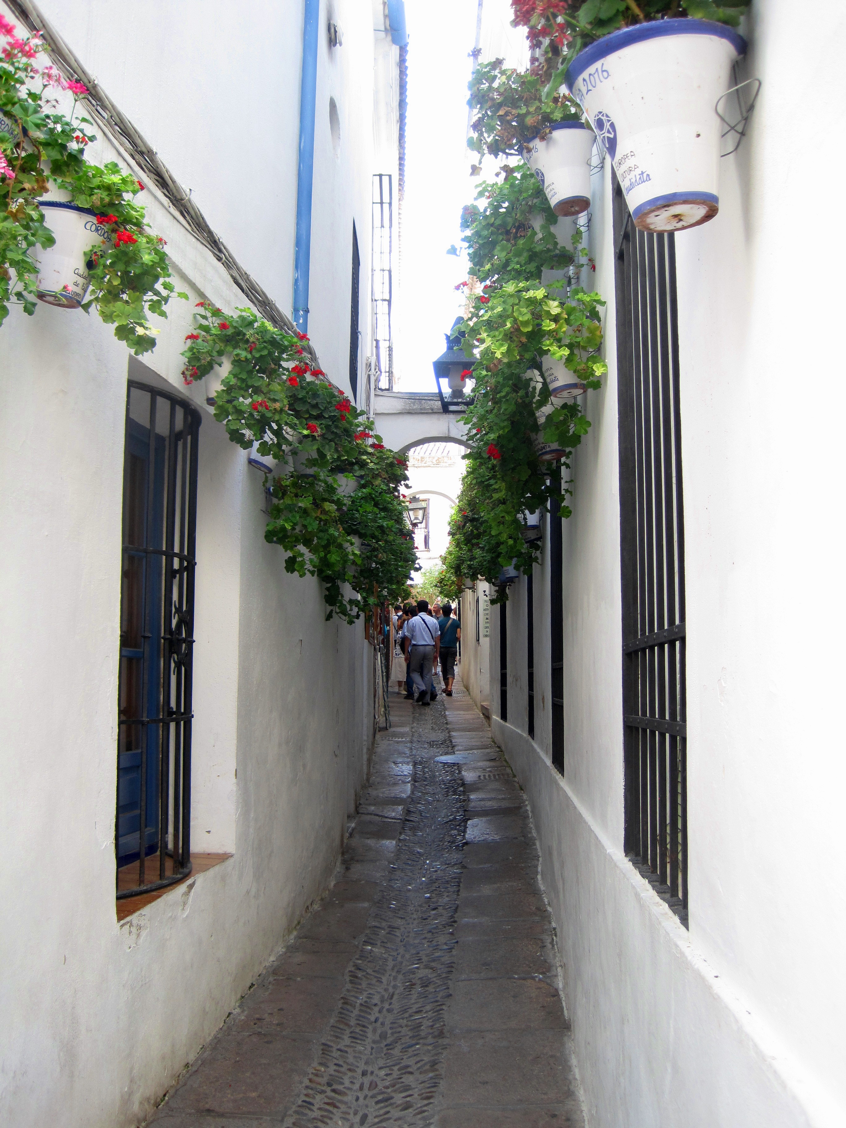 Cómo dar de alta la luz en Alcolea (Córdoba) 2026: Guía y Costes